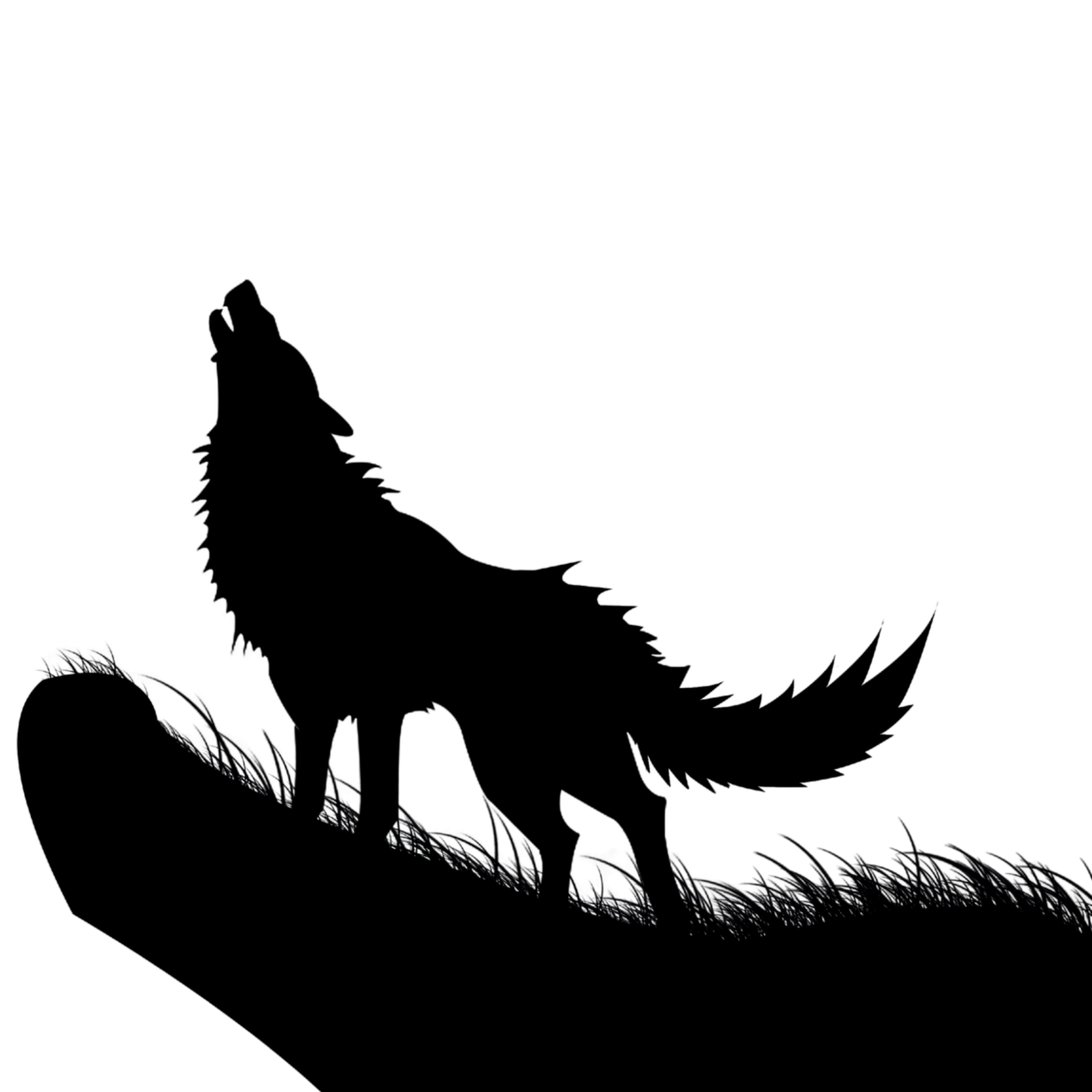 Fox Icon